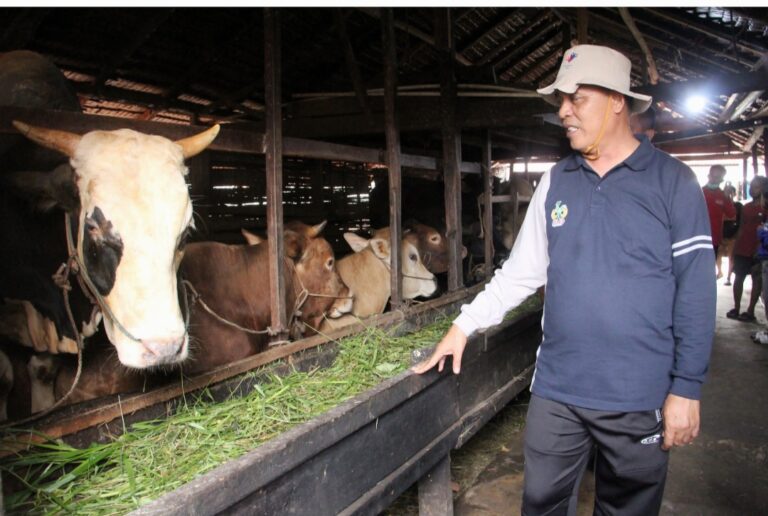 Screenshot_20250601-195250_Gallery