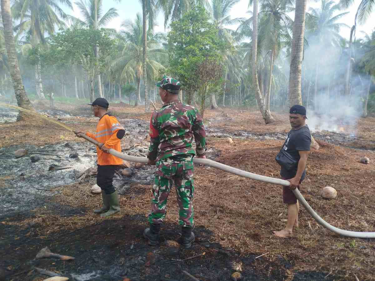 cf8cbb5169e590310d331evbz-227434