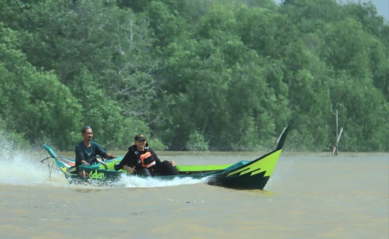 IMG-20260613-WA0185
